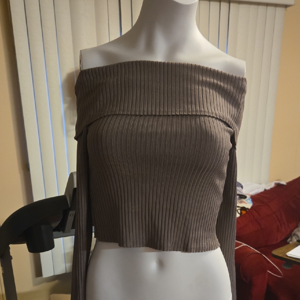 NWOT Grayish Long Sleeve Off Shoulder Crop Top